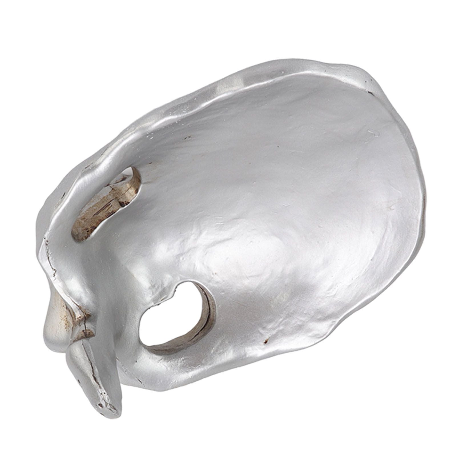 Skull Glasses Stand Decorative Synthetic Resin Statue Eyeglasses Display Holder for Home Office V1294-YM3117220234111-0421