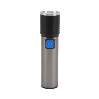365nm UV Flashlight USB Rechargeable LED Mini Portable Handheld Torch Detector for Pet Urine Counterfeit V1294-YM3119220155611-0421