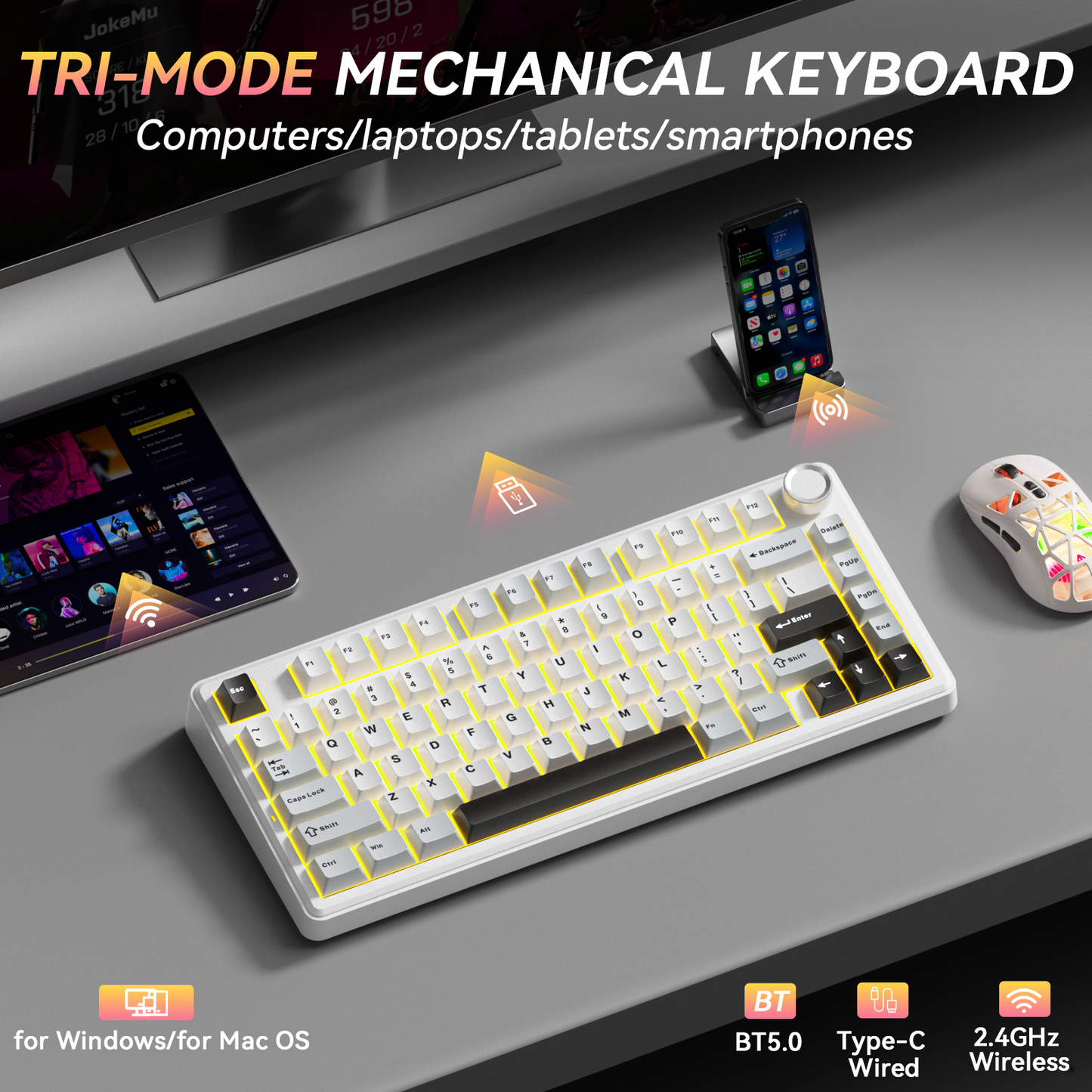 Solakaka A75 3-Mode RGB Mechanical Keyboard,White-Gray V1300-A75-WHITE-GRAY