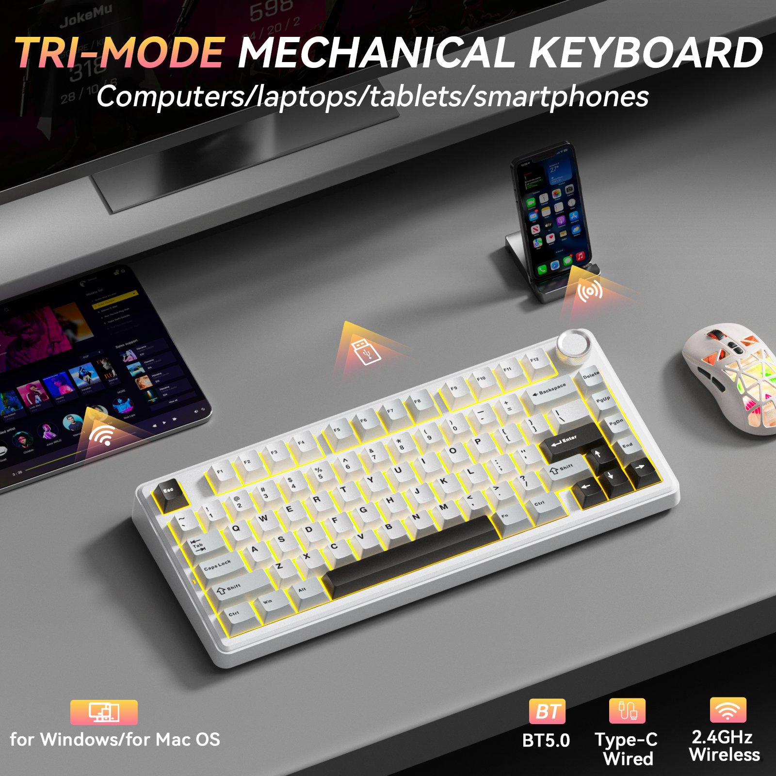 Solakaka A75 3-Mode RGB Mechanical Keyboard,White-Gray V1300-A75-WHITE-GRAY