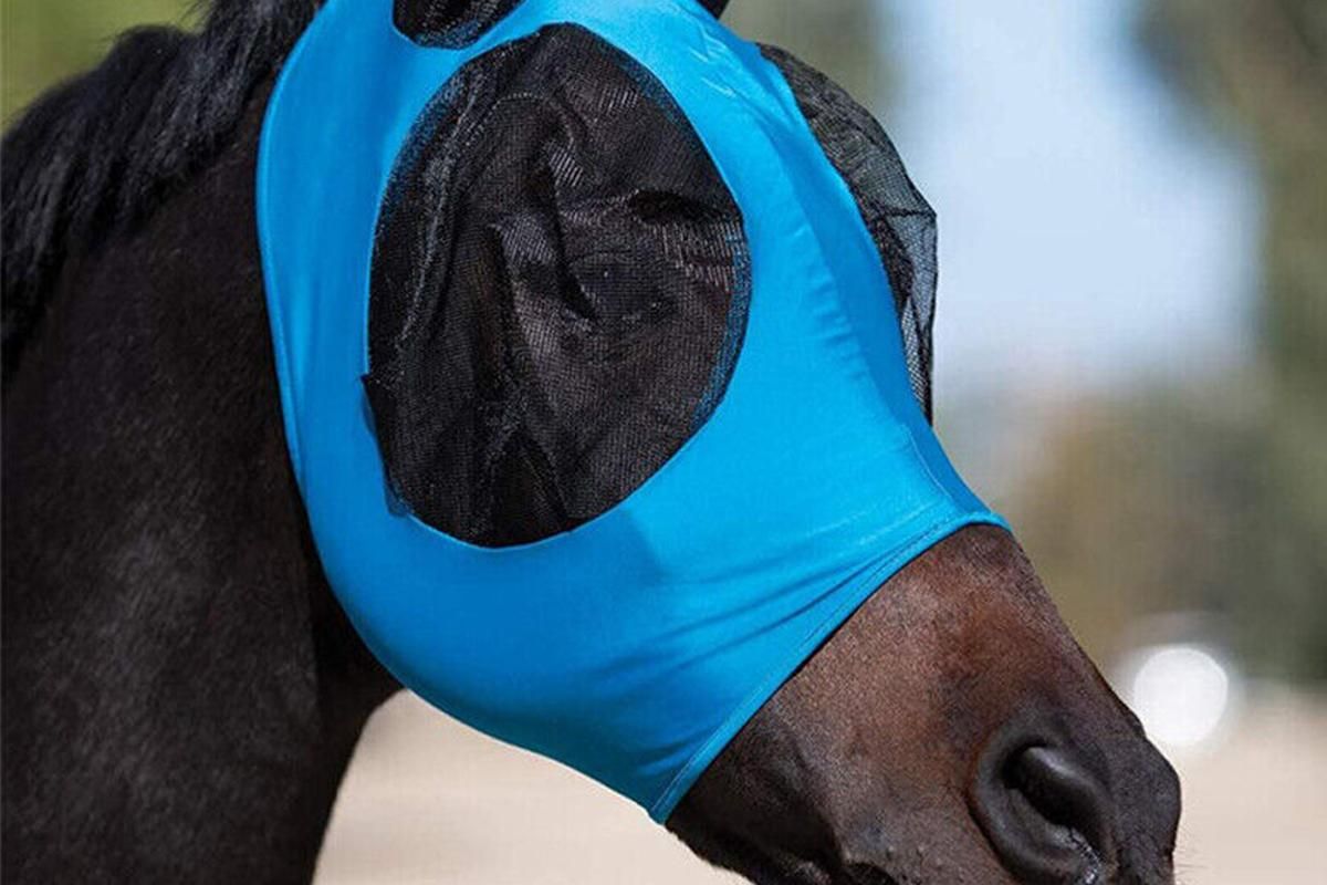 Horse Fly Mask with Ears -Blue V1308-DSZKI-126-2