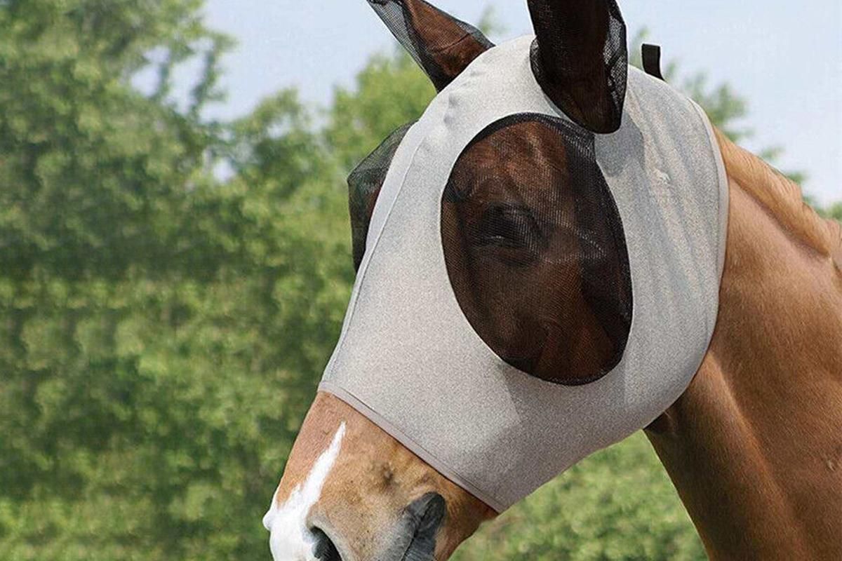 Horse Fly Mask with Ears -Grey V1308-DSZKI-126-3