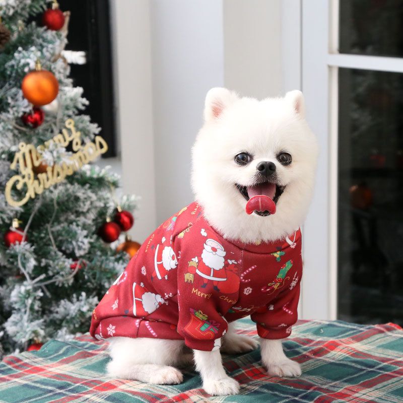 Valley Dog Pet Clothes Fleece Two Legged Autumn Winter (Anhui hair) two legs compound Velvet wine red bottom V1328-4706256845810
