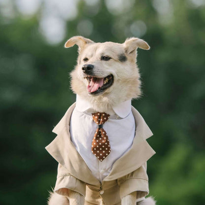 Pet Suit Dog Tuxedo Wedding little tail Polyester Light gray V1328-4984921772020