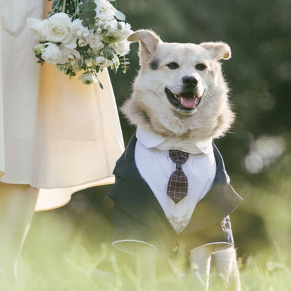 Pet Suit Dog Tuxedo Wedding little tail Polyester Light gray 2XL V1328-4984921772022