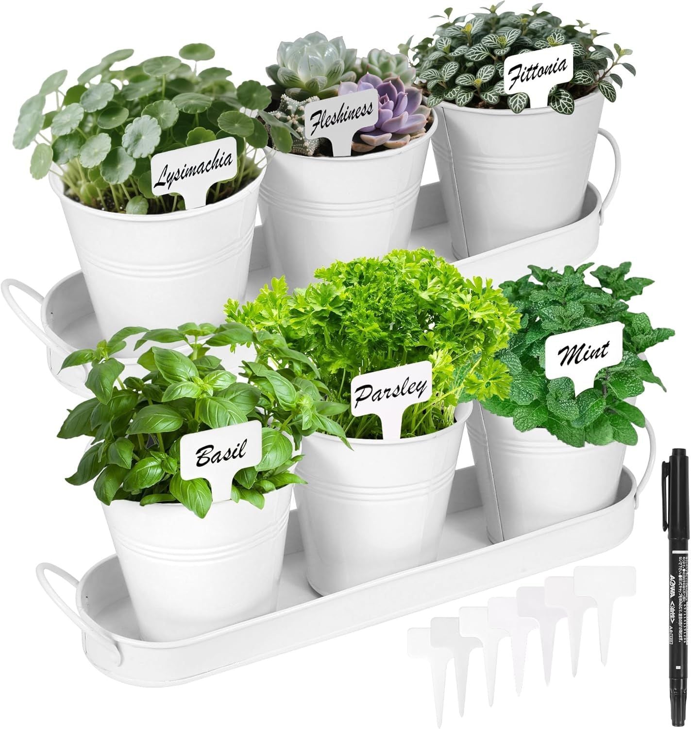 Herb Garden Planter Indoor Kit - 6 Metal Pots with 2 Trays for Windowsill & Kitchen Counter - Modern V1338-WAK0009