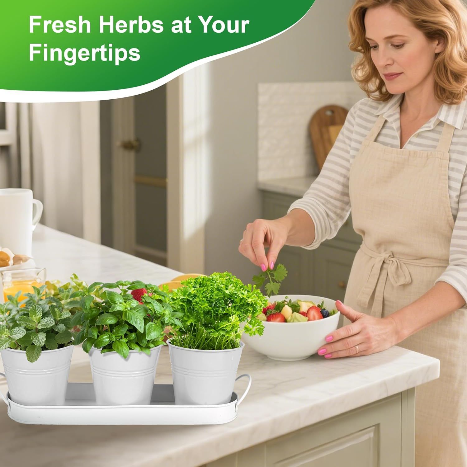 Herb Garden Planter Indoor Kit - 6 Metal Pots with 2 Trays for Windowsill & Kitchen Counter - Modern V1338-WAK0009