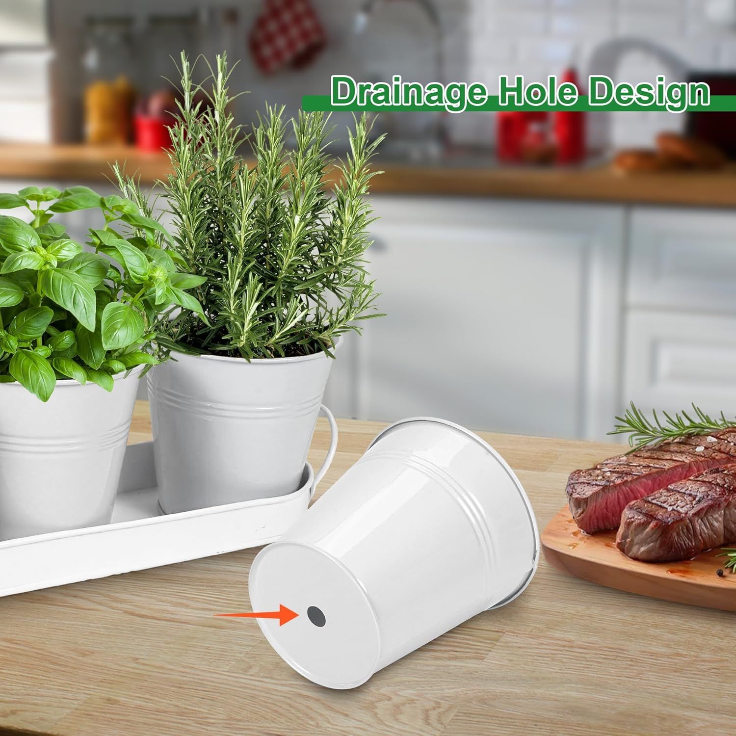 Herb Garden Planter Indoor Kit - 6 Metal Pots with 2 Trays for Windowsill & Kitchen Counter - Modern V1338-WAK0009