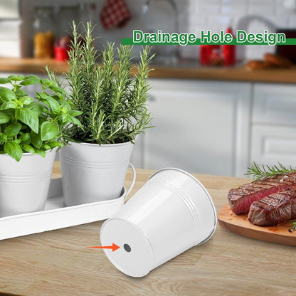 Herb Garden Planter Indoor Kit - 6 Metal Pots with 2 Trays for Windowsill & Kitchen Counter - Modern V1338-WAK0009