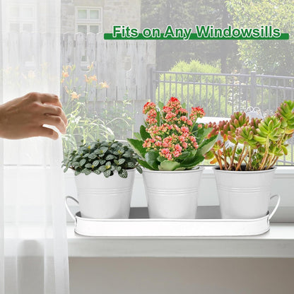 Herb Garden Planter Indoor Kit - 6 Metal Pots with 2 Trays for Windowsill & Kitchen Counter - Modern V1338-WAK0009