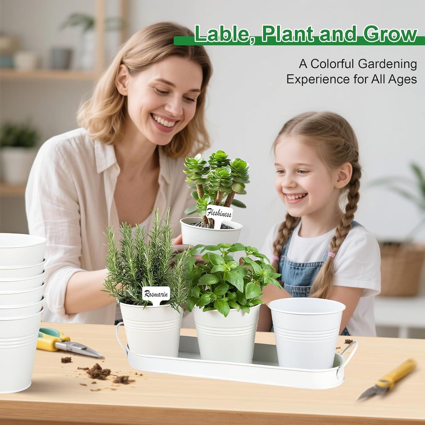 Herb Garden Planter Indoor Kit - 6 Metal Pots with 2 Trays for Windowsill & Kitchen Counter - Modern V1338-WAK0009