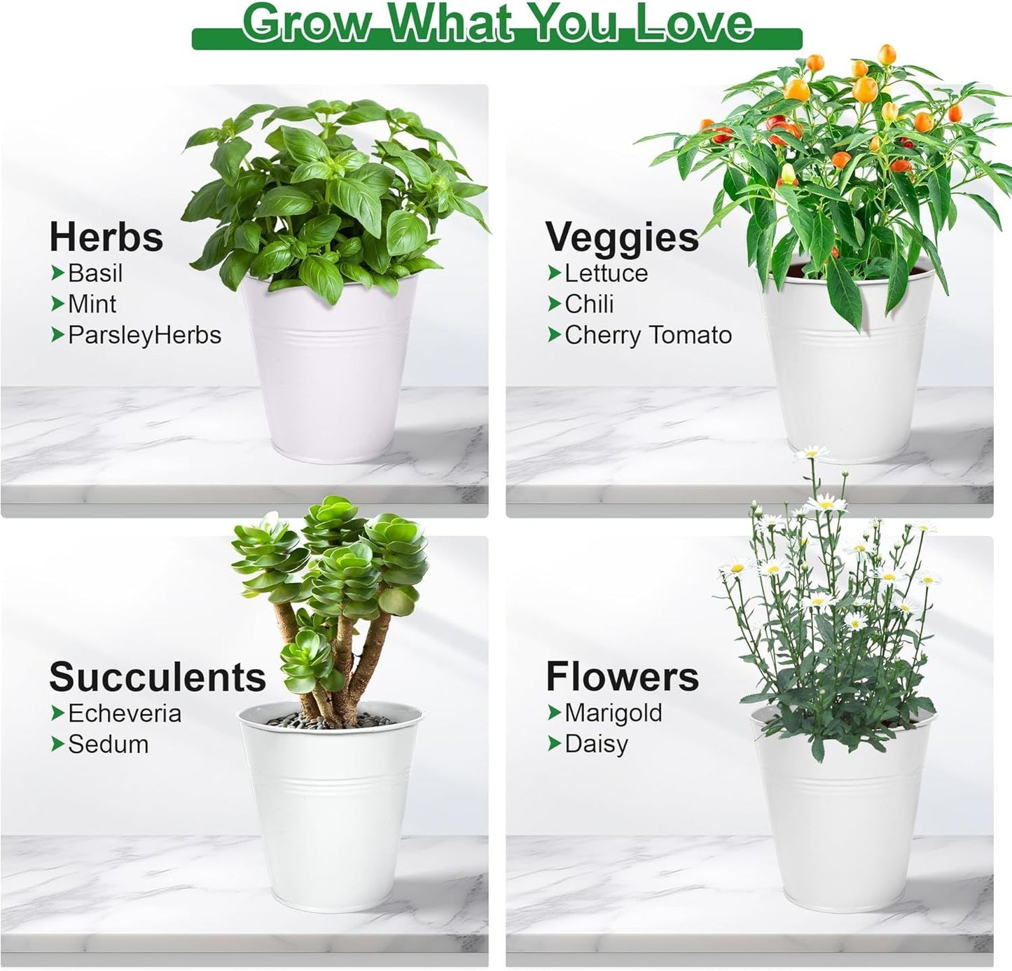 Herb Garden Planter Indoor Kit - 6 Metal Pots with 2 Trays for Windowsill & Kitchen Counter - Modern V1338-WAK0009
