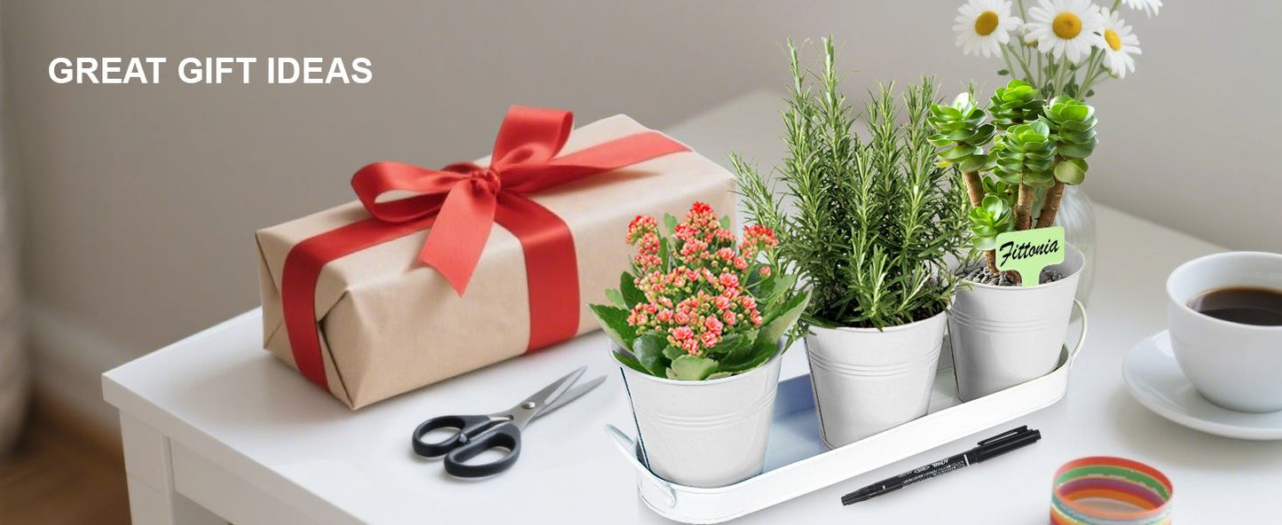 Herb Garden Planter Indoor Kit - 6 Metal Pots with 2 Trays for Windowsill & Kitchen Counter - Modern V1338-WAK0009