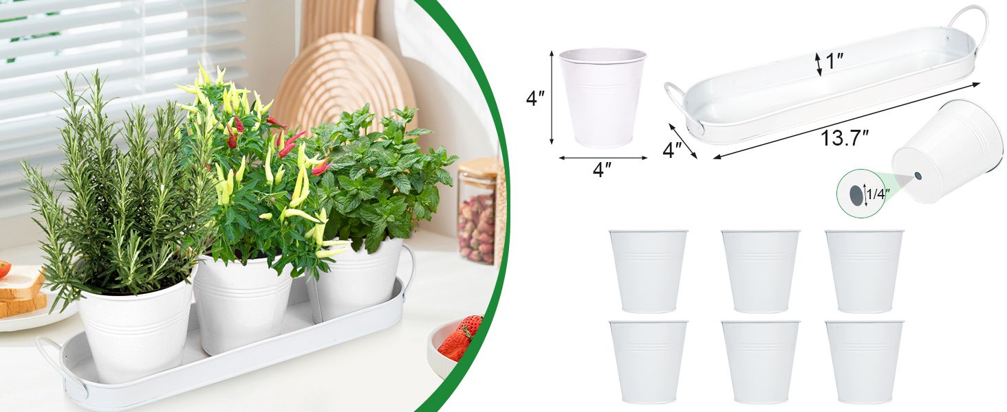 Herb Garden Planter Indoor Kit - 6 Metal Pots with 2 Trays for Windowsill & Kitchen Counter - Modern V1338-WAK0009