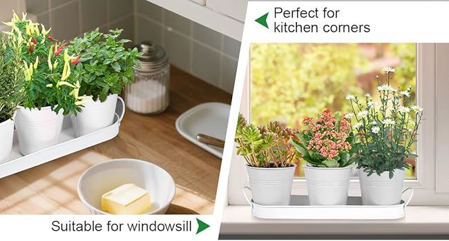 Herb Garden Planter Indoor Kit - 6 Metal Pots with 2 Trays for Windowsill & Kitchen Counter - Modern V1338-WAK0009