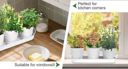 Herb Garden Planter Indoor Kit - 6 Metal Pots with 2 Trays for Windowsill & Kitchen Counter - Modern V1338-WAK0009