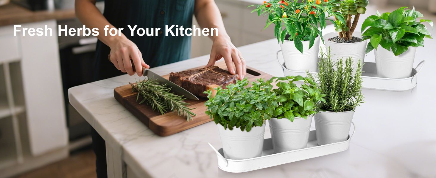 Herb Garden Planter Indoor Kit - 6 Metal Pots with 2 Trays for Windowsill & Kitchen Counter - Modern V1338-WAK0009