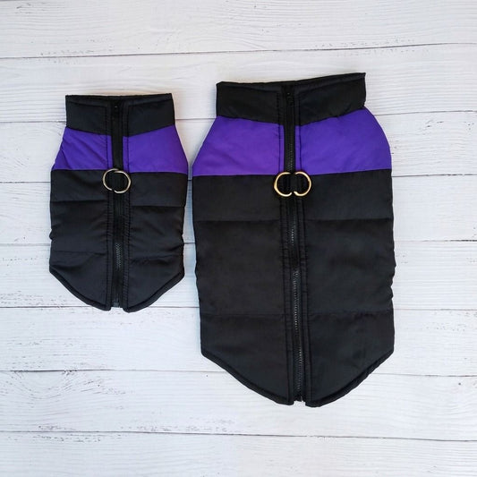 Winter Dog Ski Jacket with Waterproof and Windproof Polyester Shell, Thick PP Cotton Padding for Warmth, 3D Ergonomic Fit with D-Ring Leash Attachment, Ideal for Outdoor Walks and Snow Adventures (2XL, Purple)