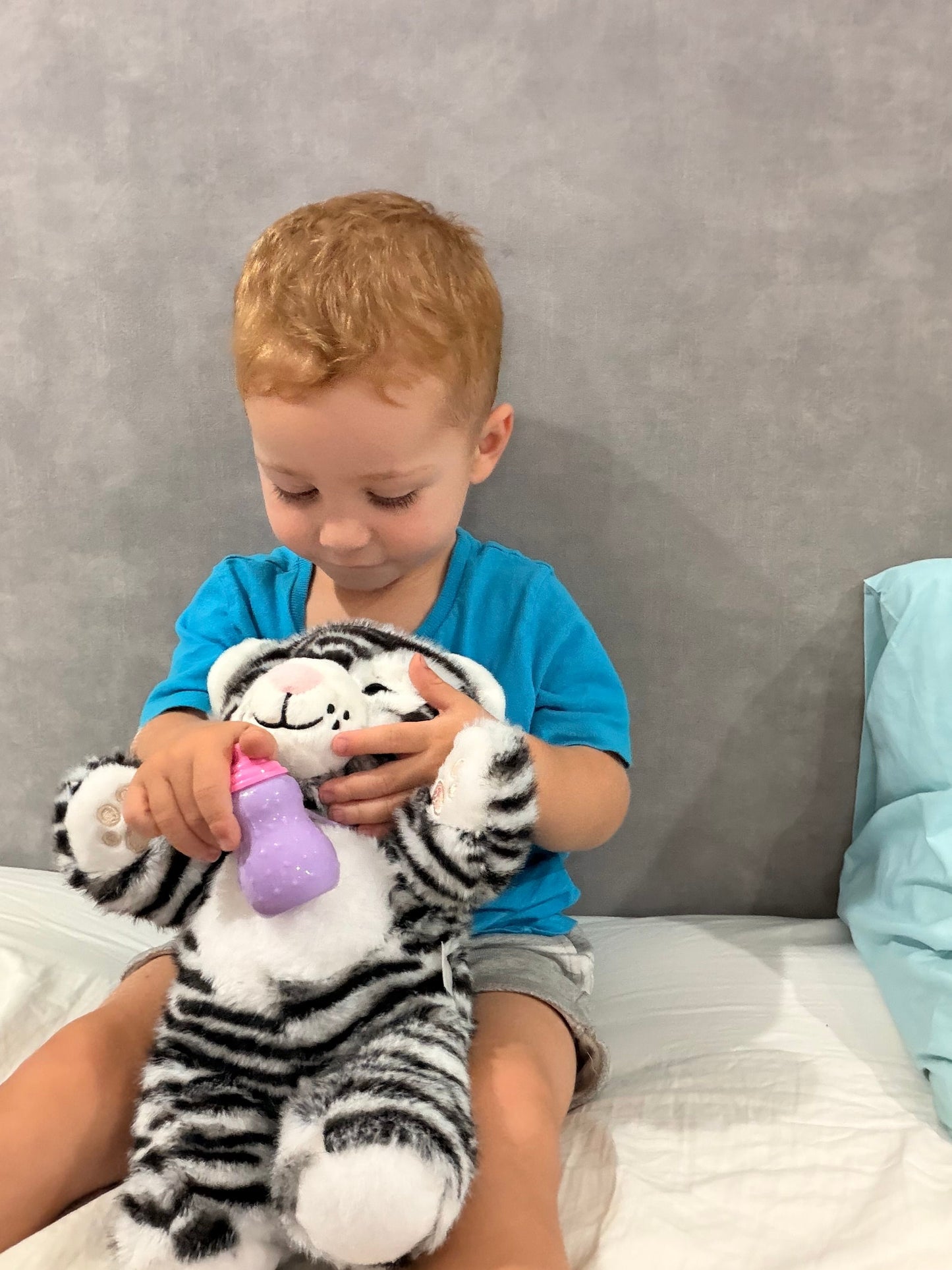 Interactive Tiger