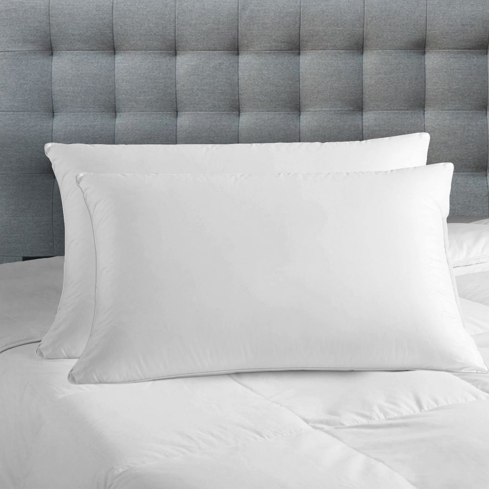 Royal Comfort Luxury Bamboo Blend Gusset Pillow Twin Pack 4cm Gusset Support V160-10001125