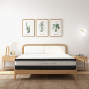Osteopedic Euro Top Mattress Pocket Spring Medium Firm Hybrid Design Bed 30CM - King Single - White V160-10001338