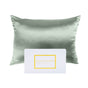 Royal Comfort Pure Silk Pillow Case 100% Mulberry Silk Hypoallergenic Pillowcase - Sage V160-10002267