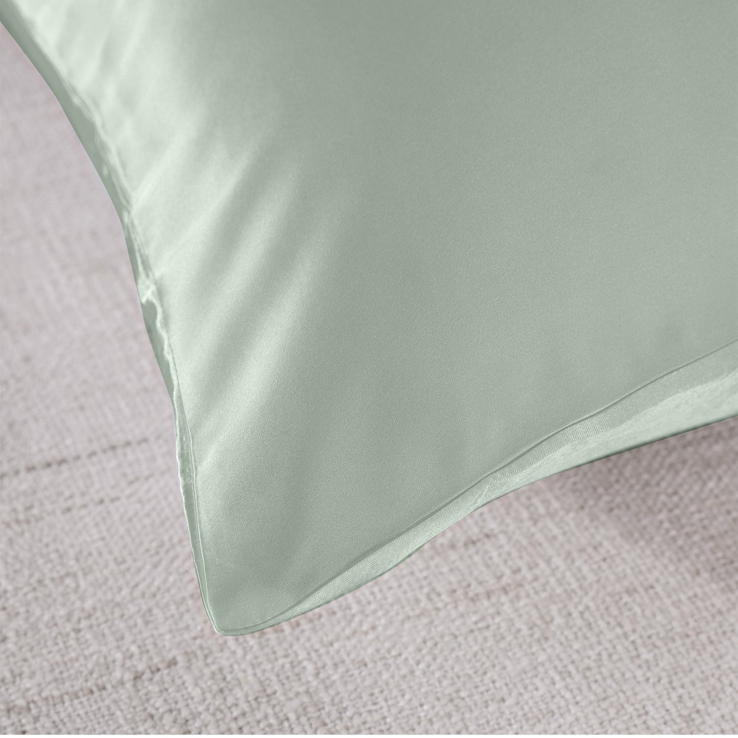 Royal Comfort Pure Silk Pillow Case 100% Mulberry Silk Hypoallergenic Pillowcase - Sage V160-10002267