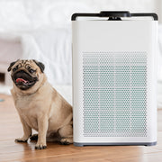 MyGenie Pure Max Air Purifier Carbon Filter 5-In-1 Cleaning System 100 m2 White V160-10003666
