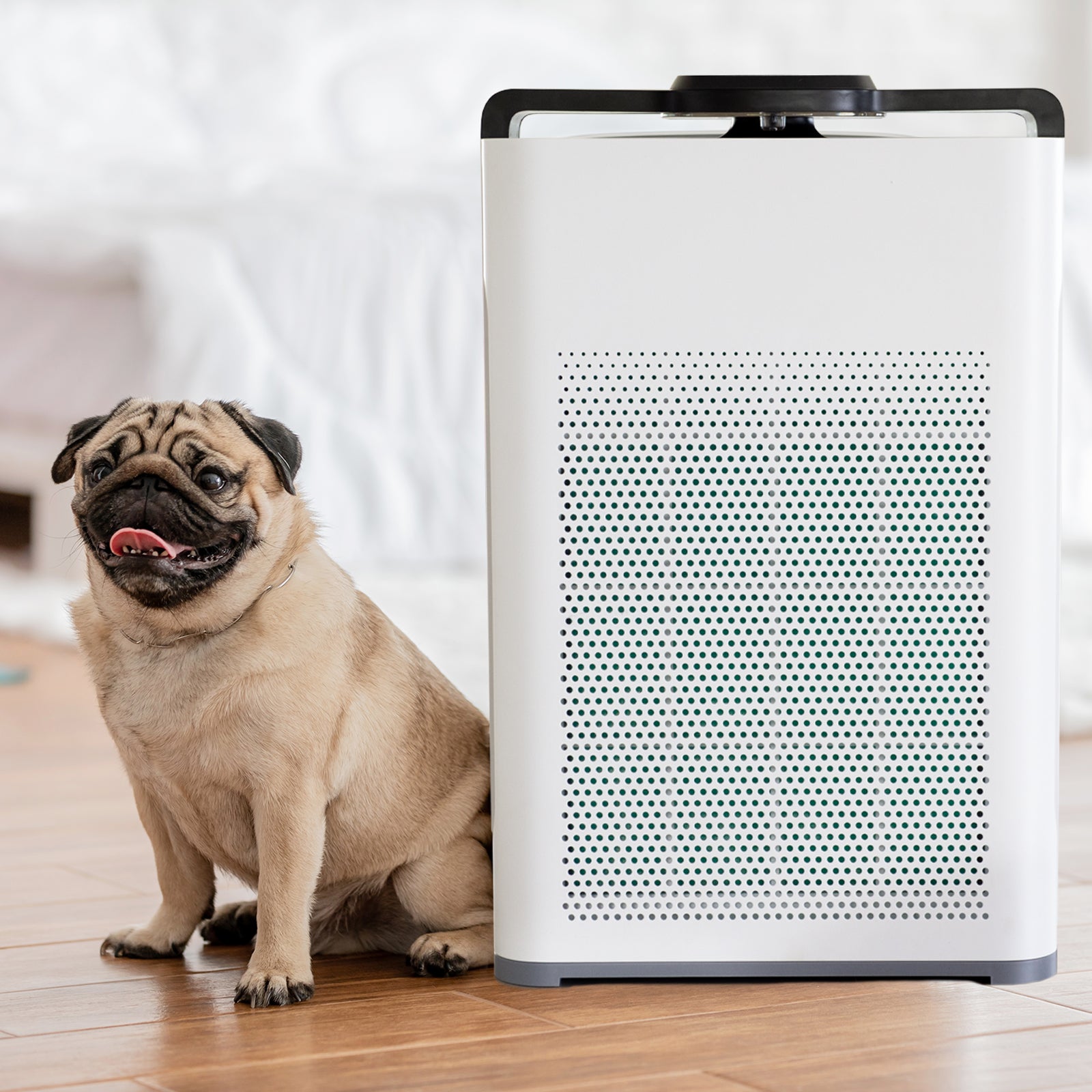 MyGenie Pure Max Air Purifier Carbon Filter 5-In-1 Cleaning System 100 m2 White V160-10003666