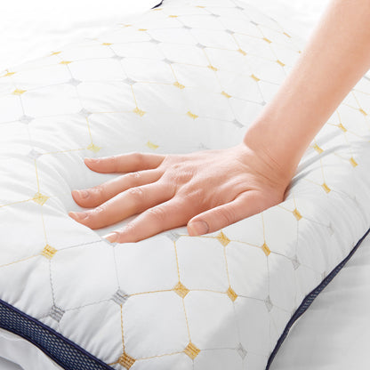Royal Comfort Luxury Air Mesh Pillows 2 Pack Hotel Quality Checked Ultra Comfort V160-10003825