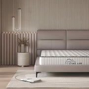 Spine-Lab Mattress 5 Zone 21cm Medium Firm Foam Bonnell Spring - King Single - White V160-10003846