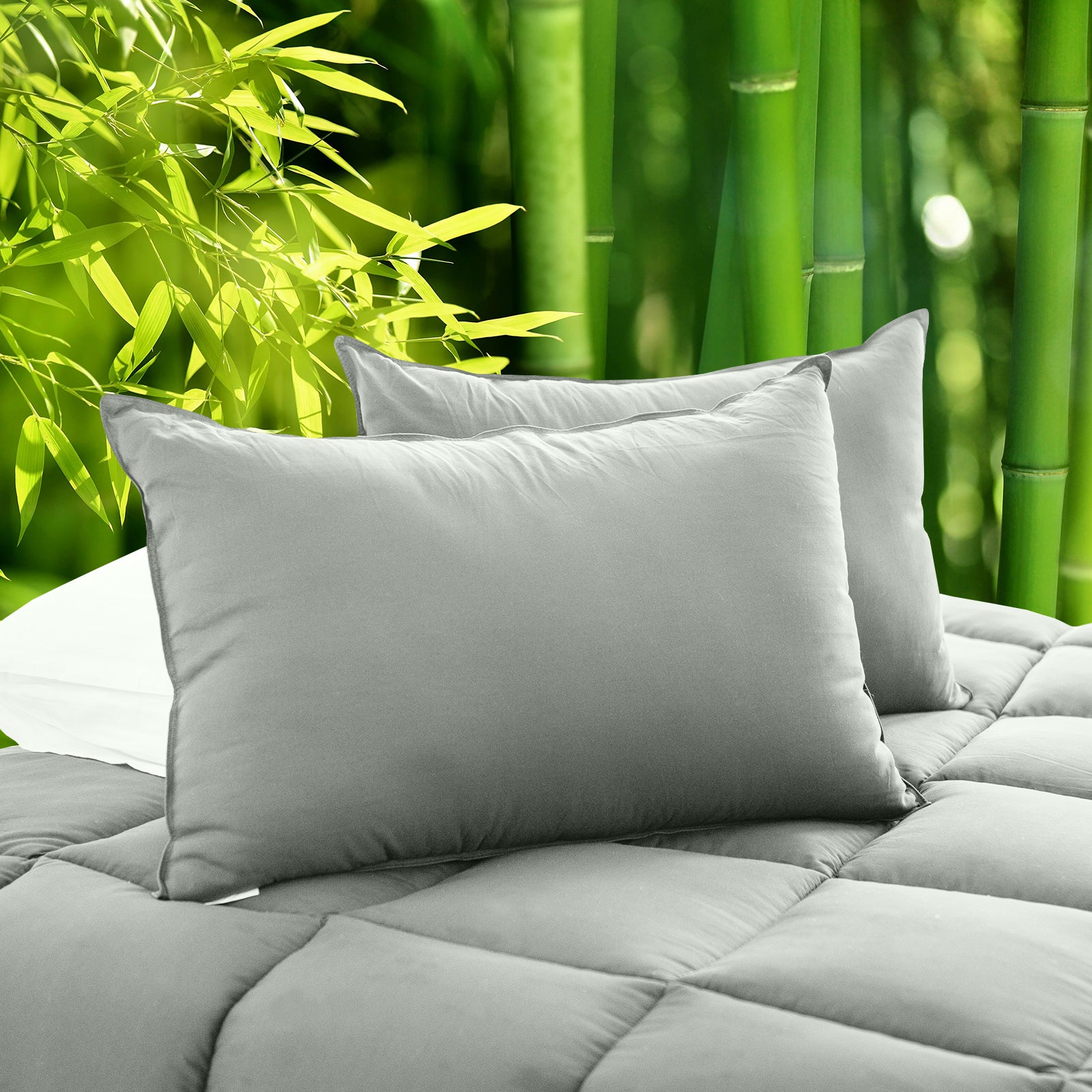 Royal Comfort Charcoal Bamboo Pillow Hotel Quality Luxury Twin Pack V160-10003957