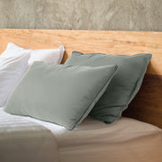 Royal Comfort Charcoal Bamboo Pillow Hotel Quality Luxury Twin Pack V160-10003957
