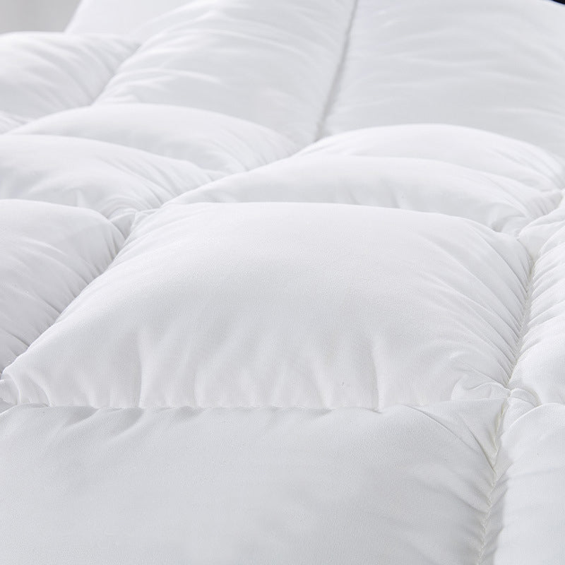 500GSM Soft Goose Feather Down Quilt Duvet 95% Feather 5% Down All-Seasons - Queen - White V160-201060