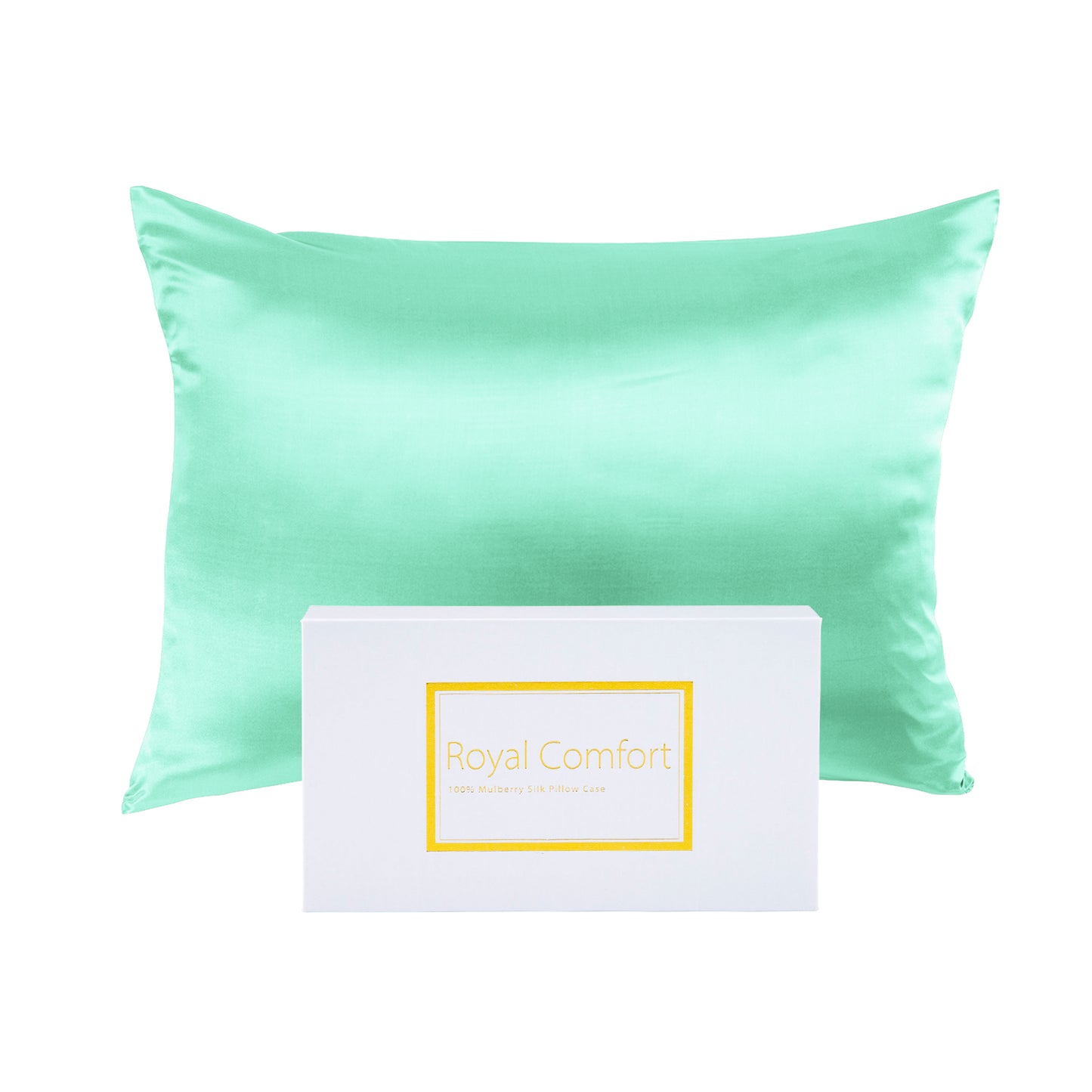 Royal Comfort Mulberry Soft Silk Hypoallergenic Pillowcase Twin Pack 51 x 76cm - Mint V160-204375