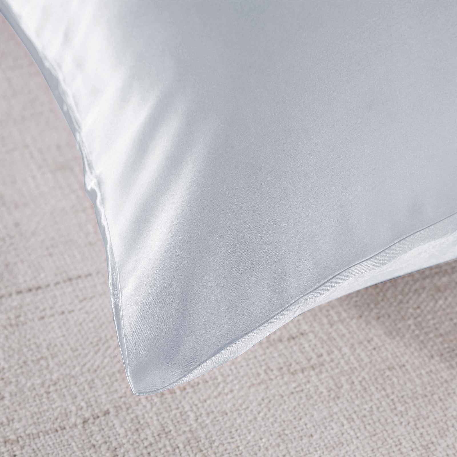 Royal Comfort Pure Silk Pillow Case 100% Mulberry Silk Hypoallergenic Pillowcase - Silver V160-204835