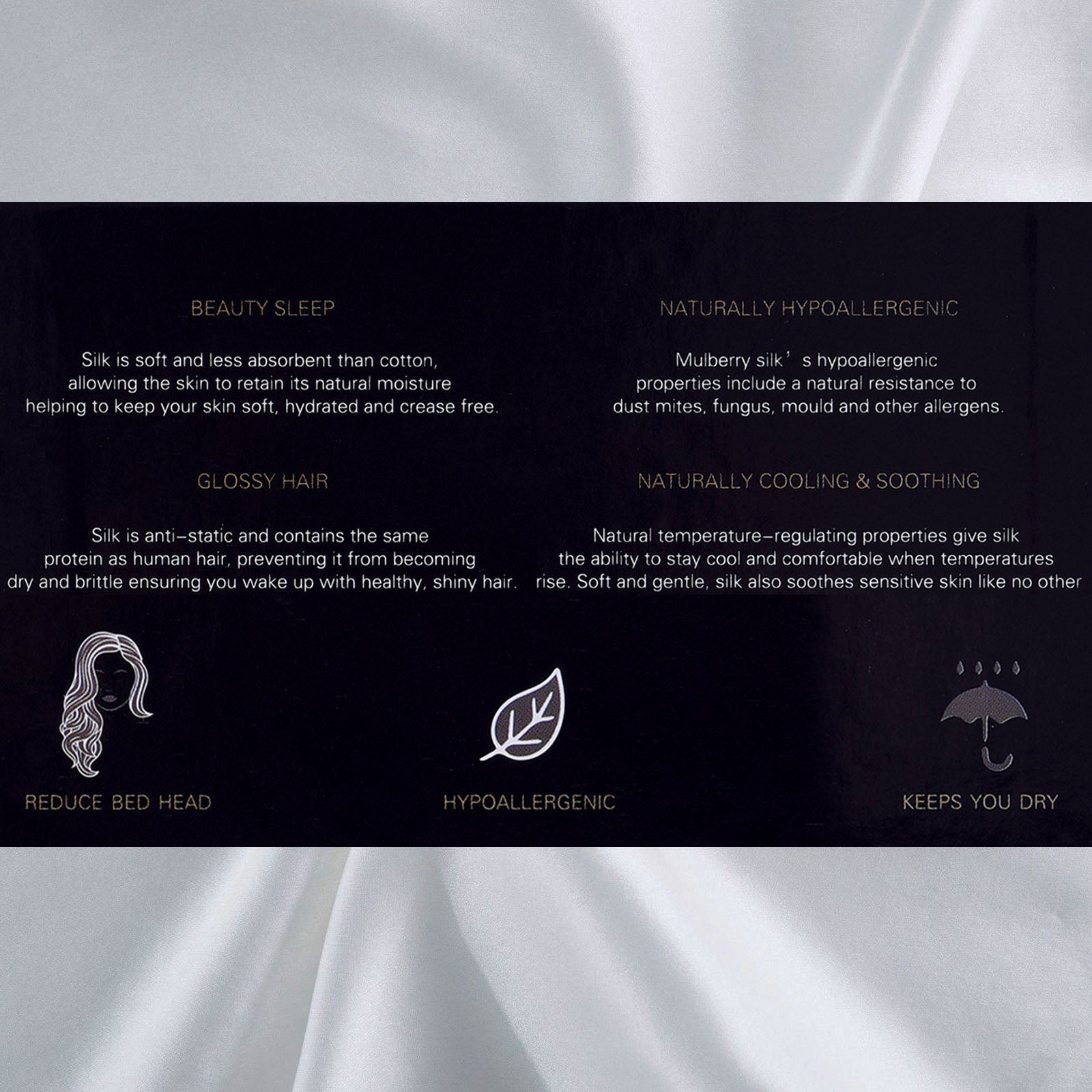 Royal Comfort Pure Silk Pillow Case 100% Mulberry Silk Hypoallergenic Pillowcase - Silver V160-204835