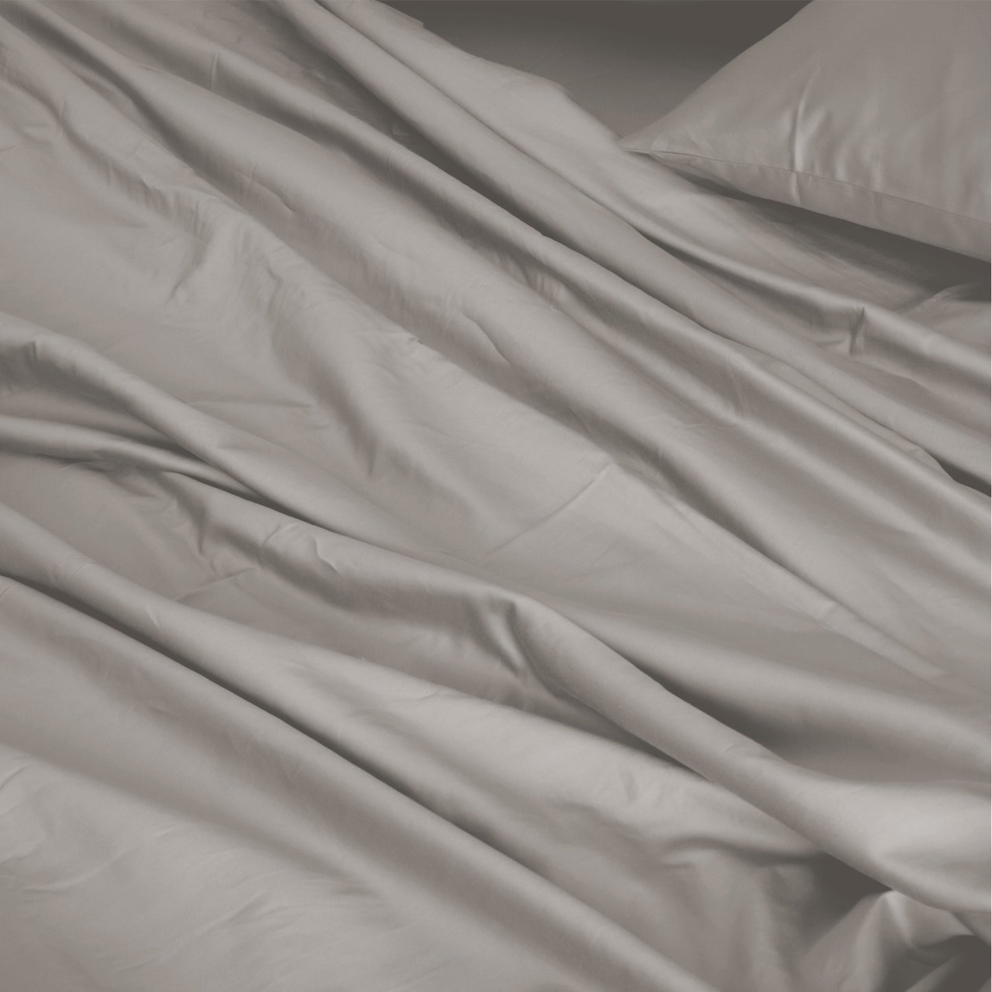 Royal Comfort 1000TC Hotel Grade Bamboo Cotton Sheets Pillowcases Set Ultrasoft - Queen - Dove V160-204908