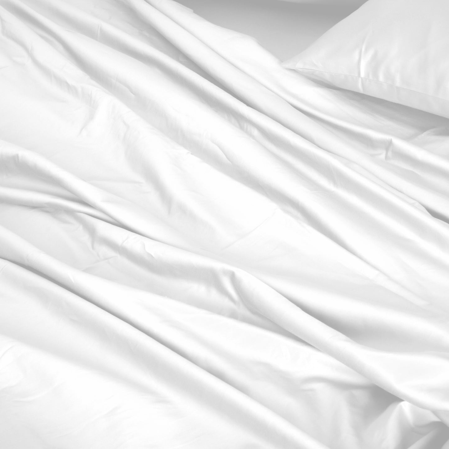 Royal Comfort 1000TC Hotel Grade Bamboo Cotton Sheets Pillowcases Set Ultrasoft - King - White V160-204911