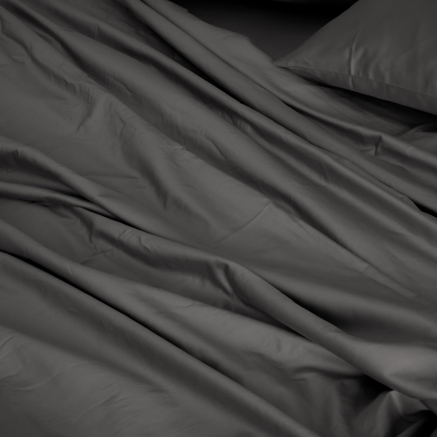 Royal Comfort 1000TC Hotel Grade Bamboo Cotton Sheets Pillowcases Set Ultrasoft - King - Pewter V160-204912