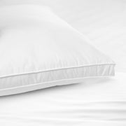 2 Pack Royal Comfort Cotton Cover 233TC Microfibre Luxury Signature Hotel Pillow V160-K2072
