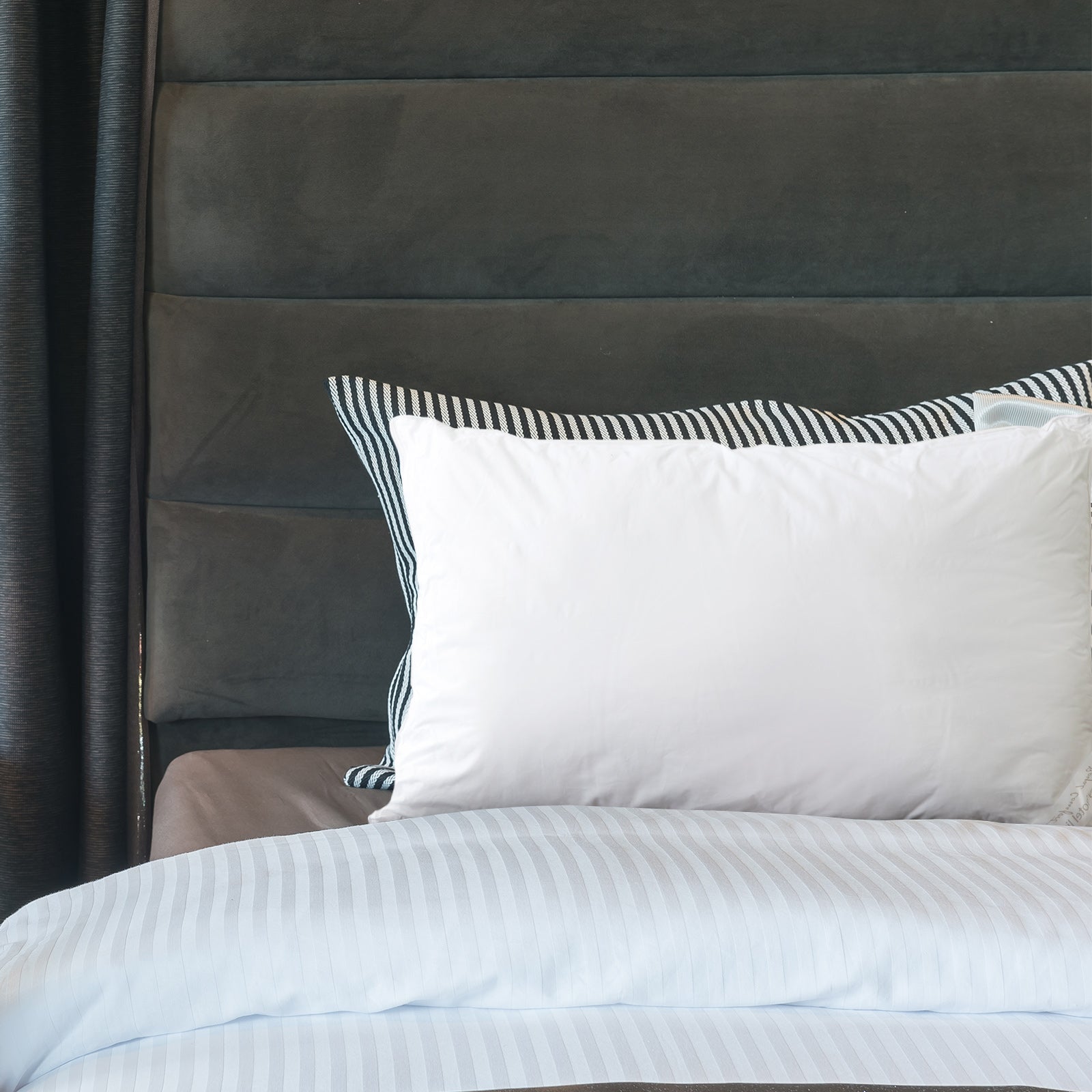 2 Pack Royal Comfort Cotton Cover 233TC Microfibre Luxury Signature Hotel Pillow V160-K2072