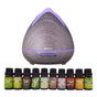 Purespa Diffuser Set With 10 Pack Diffuser Oils Humidifier Aromatherapy - Violet V160-K2696
