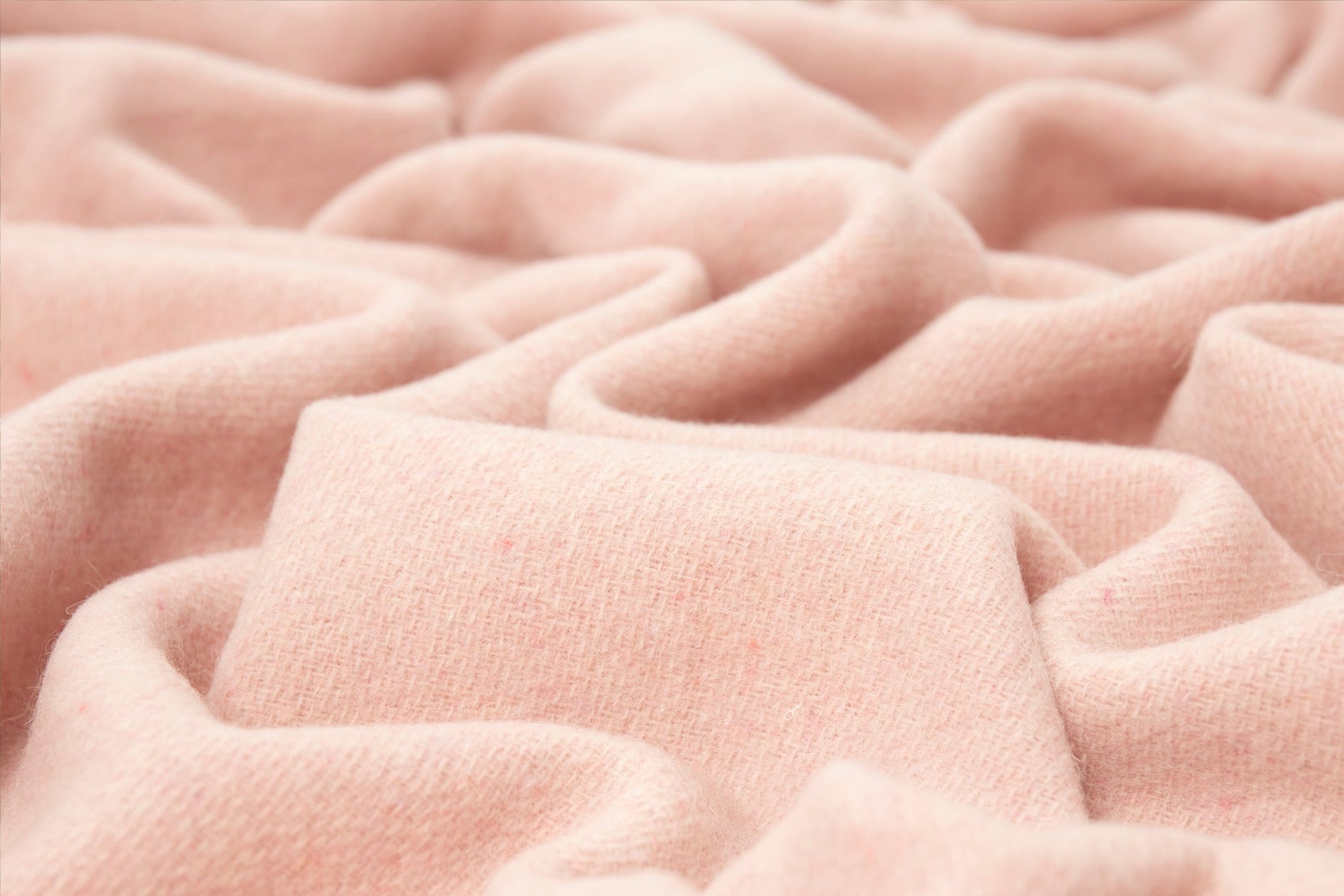 Oxford Throw - Merino Wool Blend - Blush V164-OX2