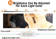 Hollywood Vanity Style LED Makeup Lights Mirror with 3 Color Modes Lights with 10 Dimmable Bulbs (Mirror Not V178-14674