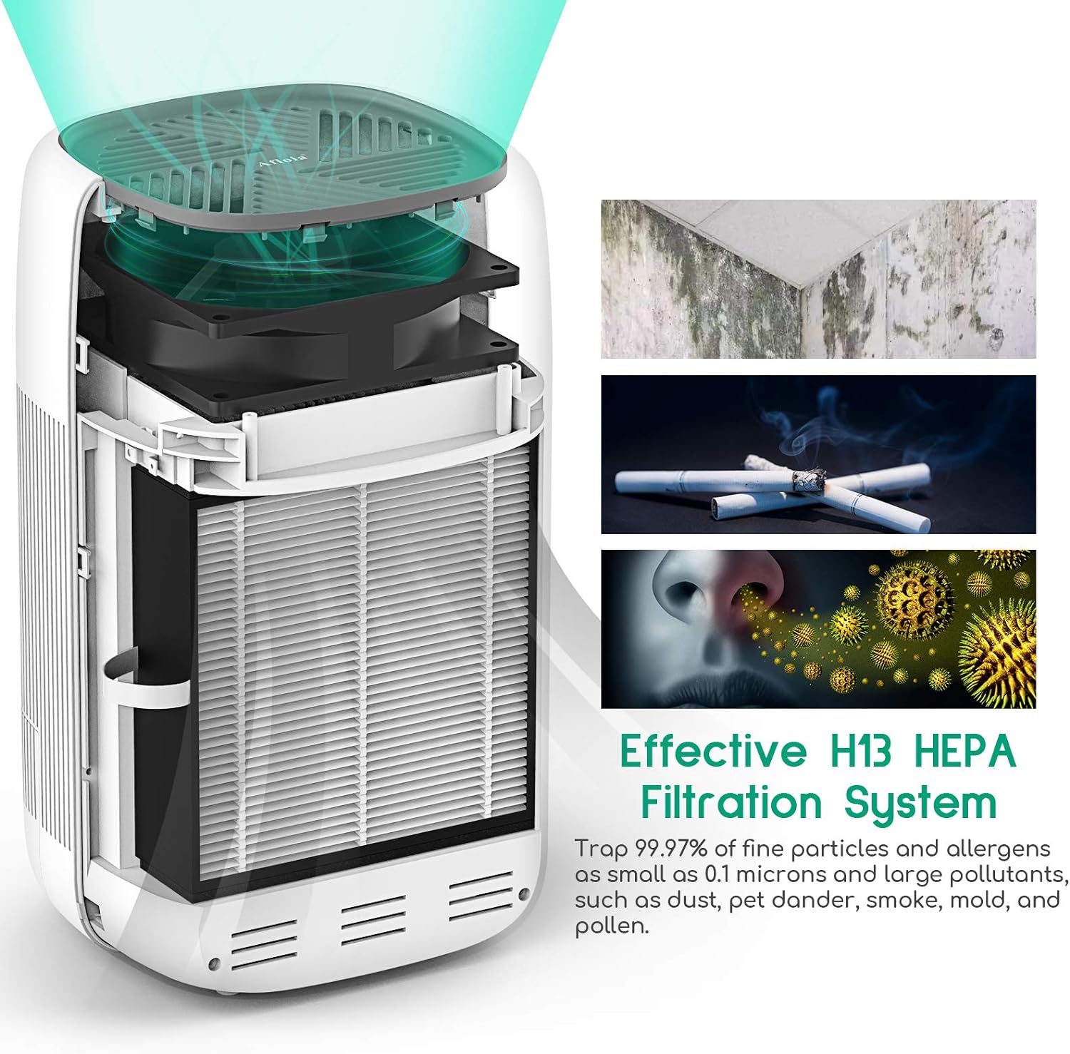 Air Purifier Dehumidifier Q10 HEPA Filter V178-33358