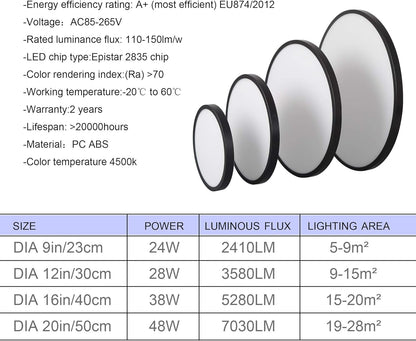 LED Ceiling Light Fixture, Natural Light, 24W 4500K ,Black V178-33381