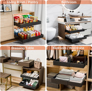 CARLA HOME 2 Pack Pull Out Cabinet Organizer Expandable for Cabinets with Adjustable Slide Out Shelves and V178-36208