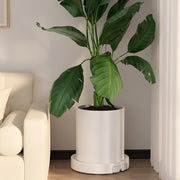 CARLA HOME Rolling Plant Stand with 360 degrees Wheels for Indoor Pots (26 cm) V178-36285