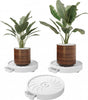CARLA HOME 2-Pack Rolling Plant Stand with 360 degrees Wheels for Indoor Pots (26 cm) V178-36286